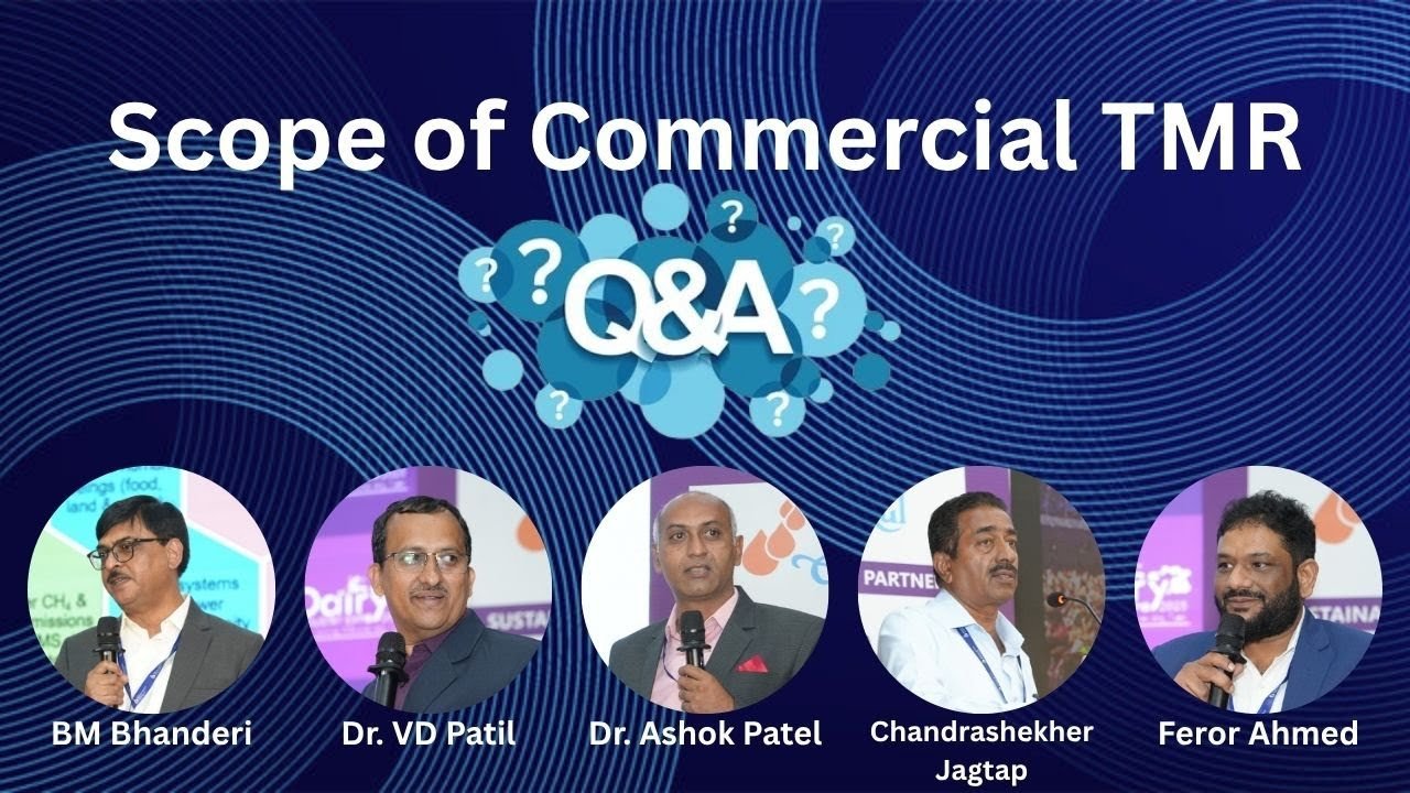 Exploring the Scope of Commercial TMR in Modern Dairy Farming