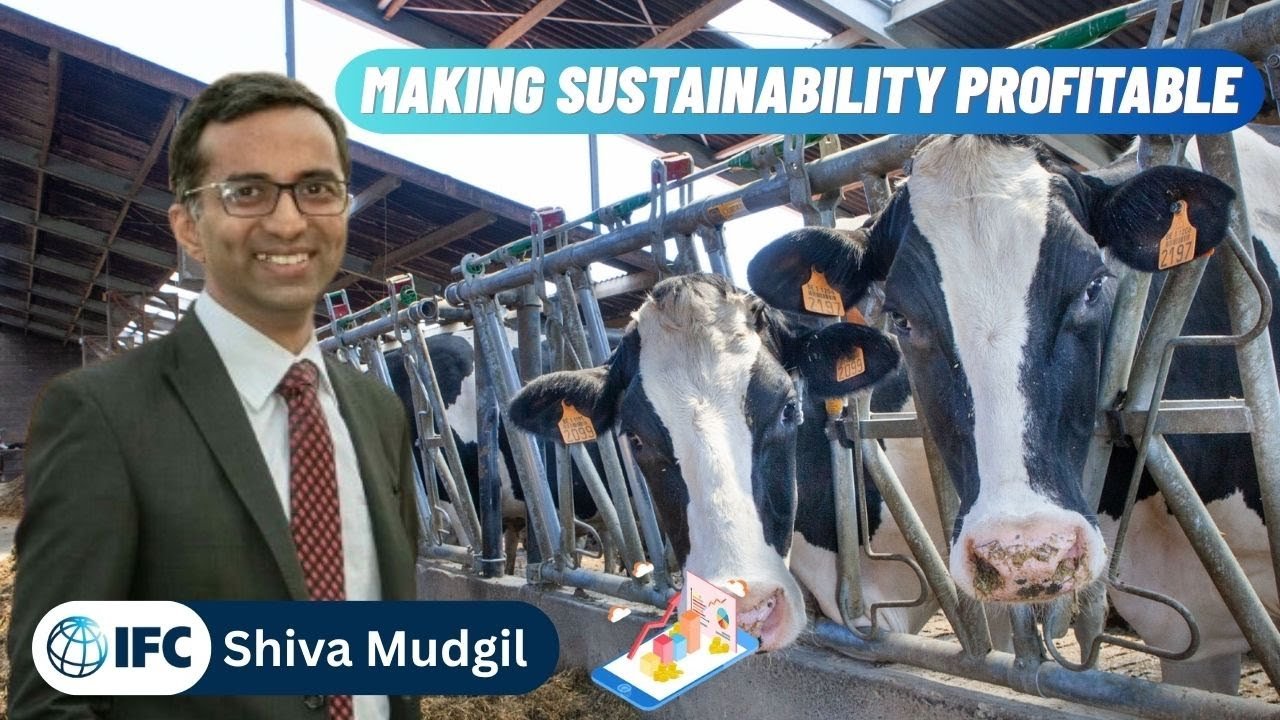 Holistic Sustainability by Shiva Mudgil, IFC