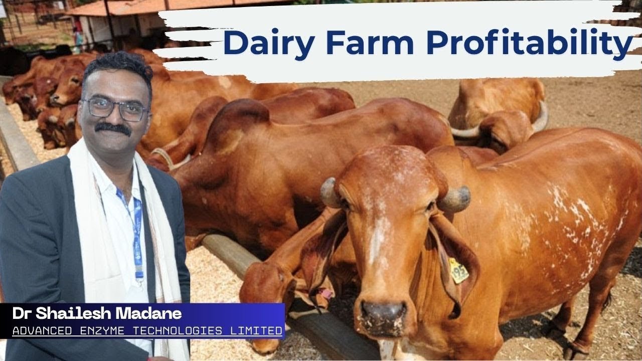 Importance of Animal Health in Dairy Profitability by Dr. Shailesh Madane, Advanced Enzymes