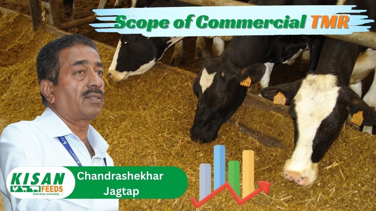 TMR & Milk Quality by Chandrashekhar Jagtap, Kisan Feeds