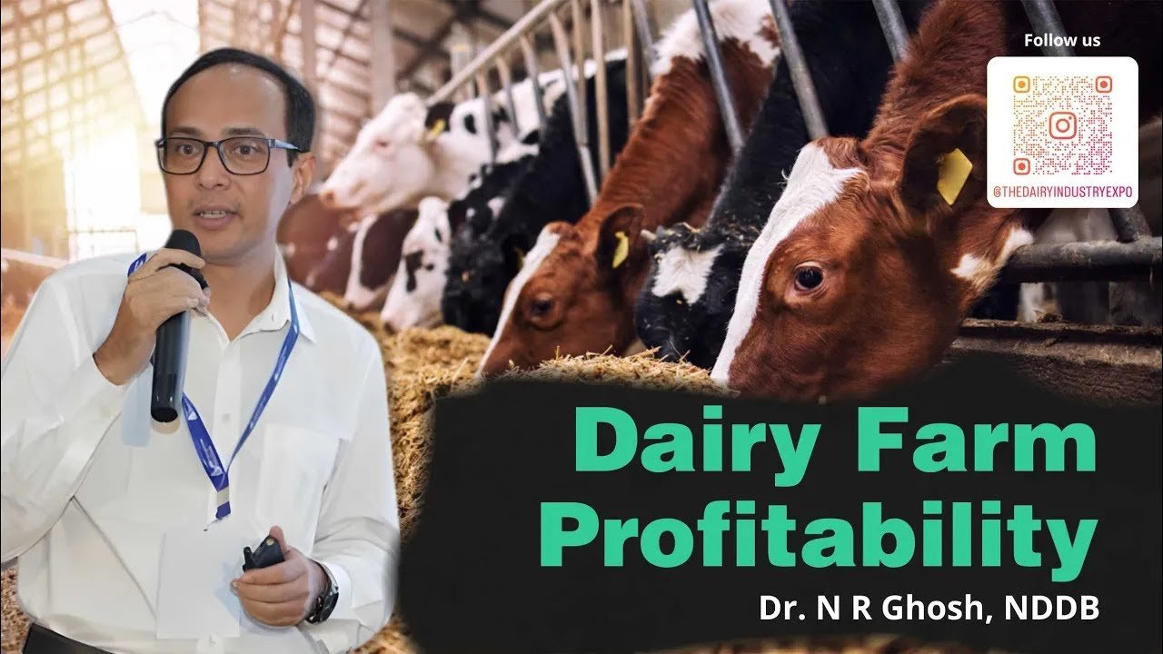 Optimizing Dairy Productivity and Profitability with Scientific Nutrition by r. N. R. Ghosh, NDDB