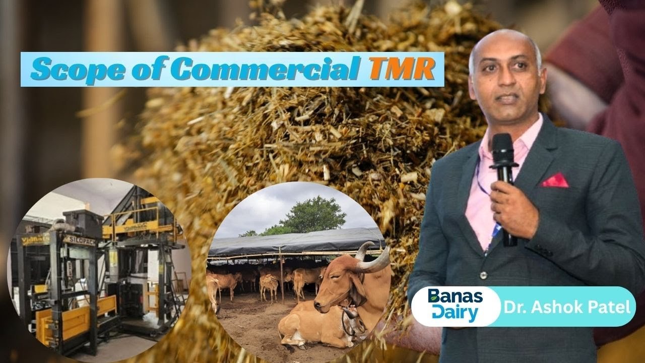 Commercial TMR: Benefiting Small Dairy Farms by Dr. Ashok Patel, Banas Dairy